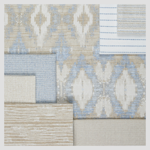 Fall_2024_Shelf 4_sq