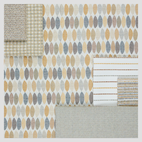 Fall_2024_Shelf 5_sq