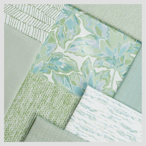 Sunbel_Fall_2025_Shelf square2