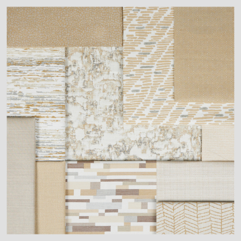 Sunbel_Fall_2025_Shelf square7